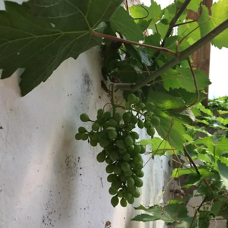 Nordsoehousing-rorby *