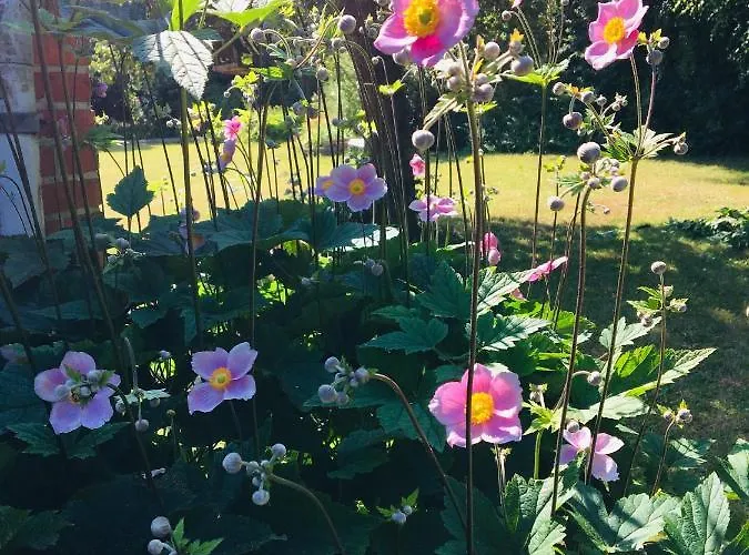 Nordsoehousing-rorby Kalundborg